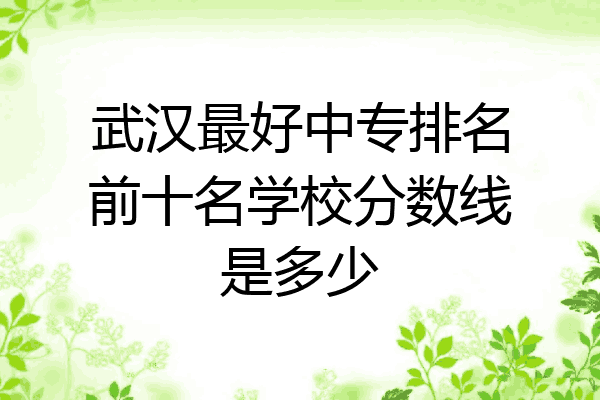 武汉最好中专排名前十名学校分数线是多少