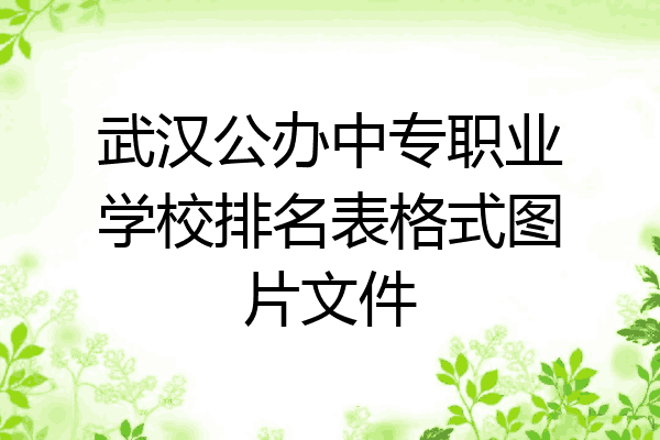 武汉公办中专职业学校排名表格式图片文件