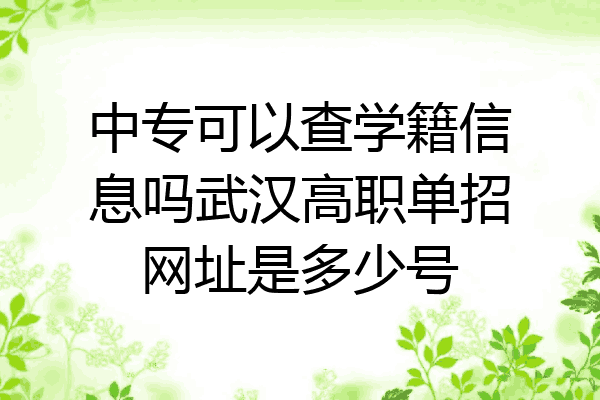中专可以查学籍信息吗武汉高职单招网址是多少号
