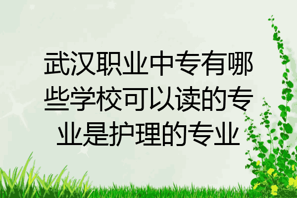 武汉职业中专有哪些学校可以读的专业是护理的专业