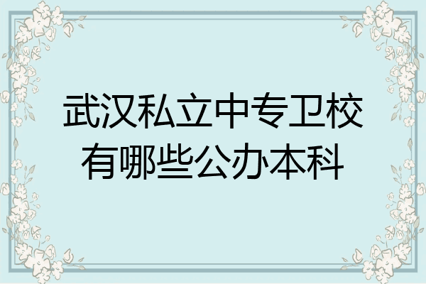 武汉私立中专卫校有哪些公办本科