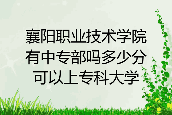襄阳职业技术学院有中专部吗多少分可以上专科大学