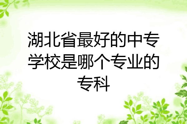 湖北省最好的中专学校是哪个专业的专科