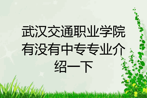 武汉交通职业学院有没有中专专业介绍一下