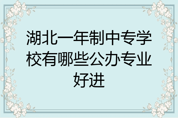 湖北一年制中专学校有哪些公办专业好进