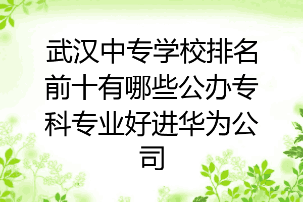 武汉中专学校排名前十有哪些公办专科专业好进华为公司
