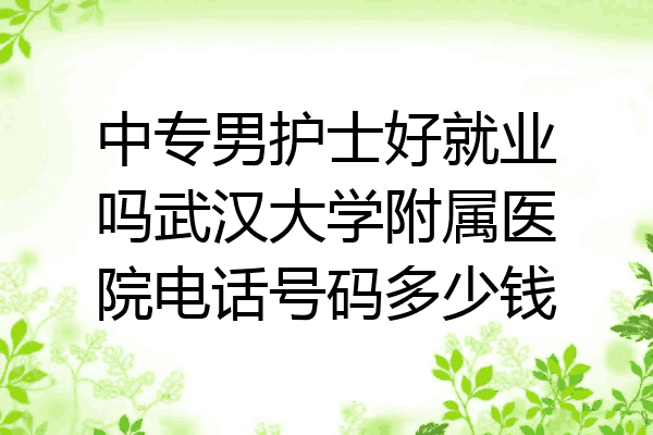 中专男护士好就业吗武汉大学附属医院电话号码多少钱