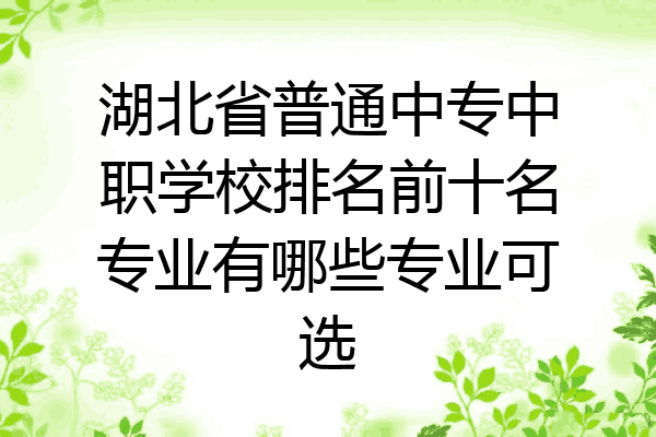 湖北省普通中专中职学校排名前十名专业有哪些专业可选