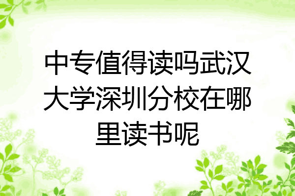 中专值得读吗武汉大学深圳分校在哪里读书呢