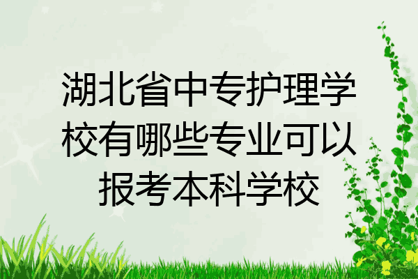 湖北省中专护理学校有哪些专业可以报考本科学校