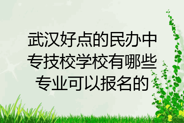 武汉好点的民办中专技校学校有哪些专业可以报名的