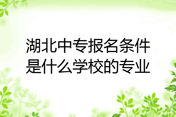 湖北中专报名条件是什么学校的专业