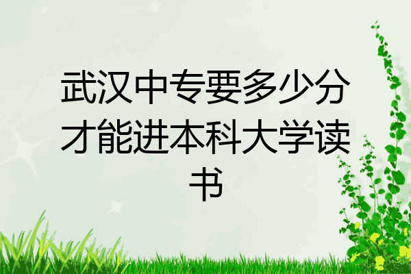 武汉中专要多少分才能进本科大学读书
