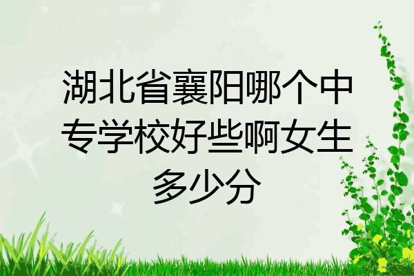 湖北省襄阳哪个中专学校好些啊女生多少分