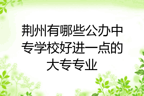 荆州有哪些公办中专学校好进一点的大专专业