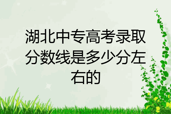 湖北中专高考录取分数线是多少分左右的