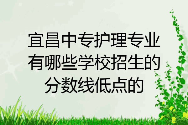 宜昌中专护理专业有哪些学校招生的分数线低点的