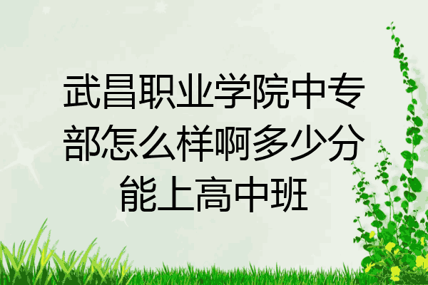 武昌职业学院中专部怎么样啊多少分能上高中班