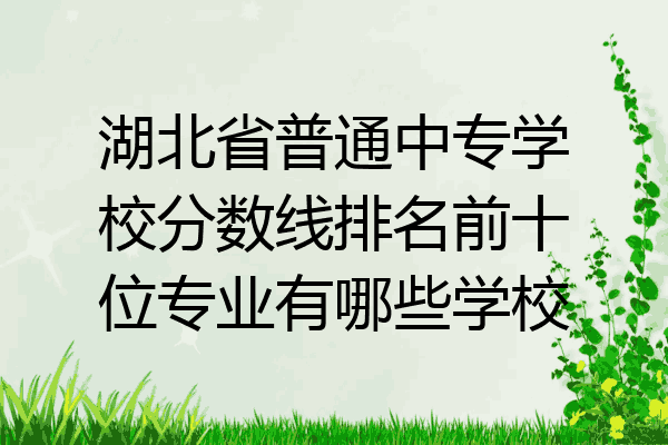 湖北省普通中专学校分数线排名前十位专业有哪些学校