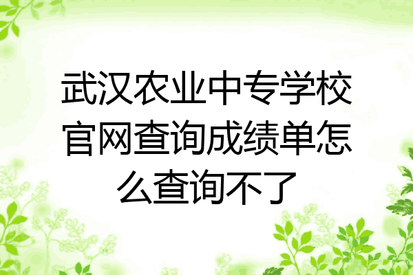 武汉农业中专学校官网查询成绩单怎么查询不了