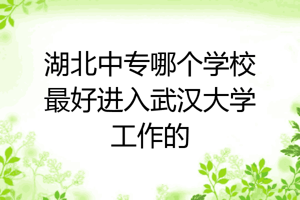 湖北中专哪个学校最好进入武汉大学工作的