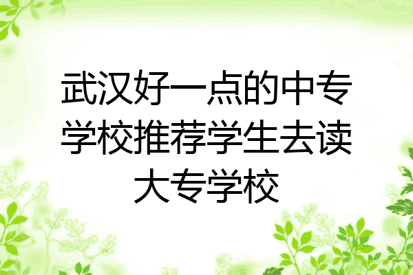 武汉好一点的中专学校推荐学生去读大专学校
