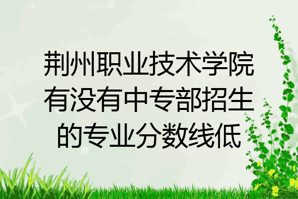 荆州职业技术学院有没有中专部招生的专业分数线低