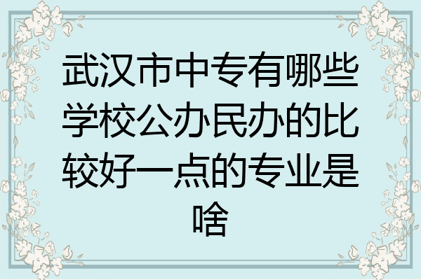 武汉市中专有哪些学校公办民办的比较好一点的专业是啥