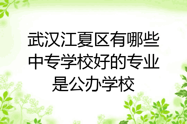 武汉江夏区有哪些中专学校好的专业是公办学校