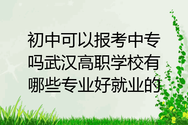 初中可以报考中专吗武汉高职学校有哪些专业好就业的