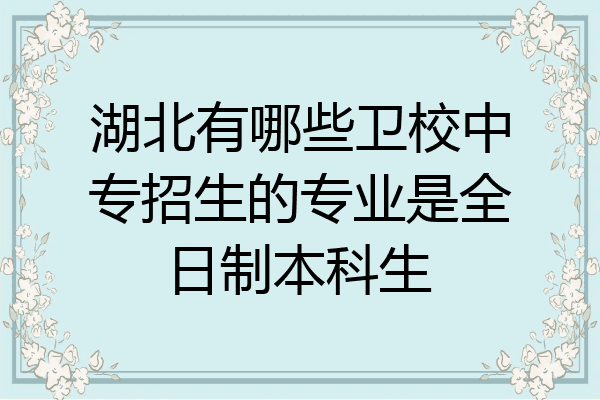 湖北有哪些卫校中专招生的专业是全日制本科生