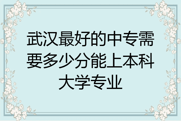 武汉最好的中专需要多少分能上本科大学专业
