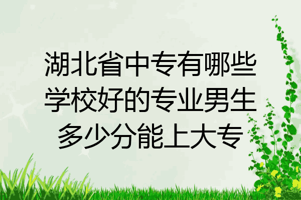 湖北省中专有哪些学校好的专业男生多少分能上大专