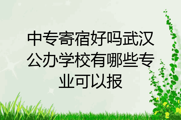 中专寄宿好吗武汉公办学校有哪些专业可以报