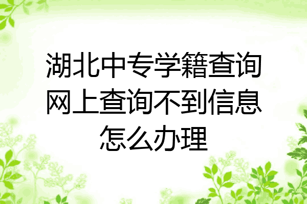 湖北中专学籍查询网上查询不到信息怎么办理