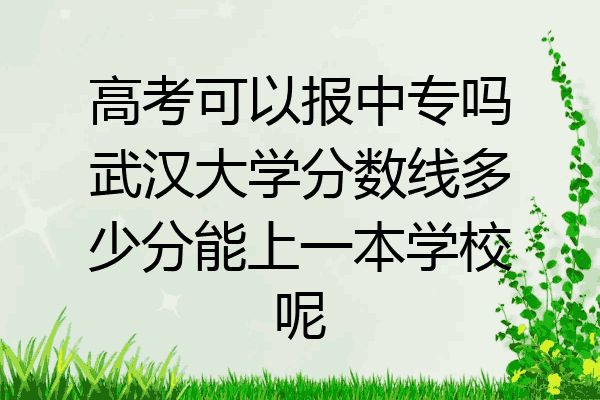 高考可以报中专吗武汉大学分数线多少分能上一本学校呢