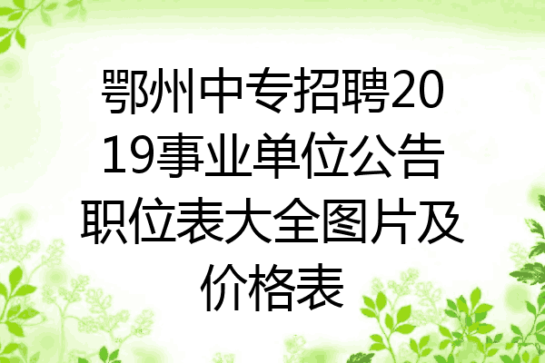 鄂州中专招聘2019事业单位公告职位表大全图片及价格表