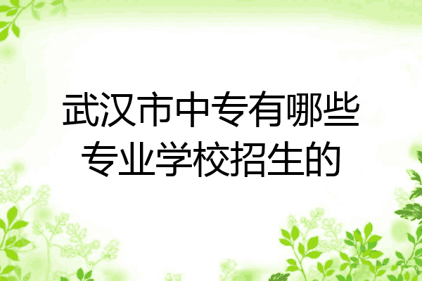 武汉市中专有哪些专业学校招生的