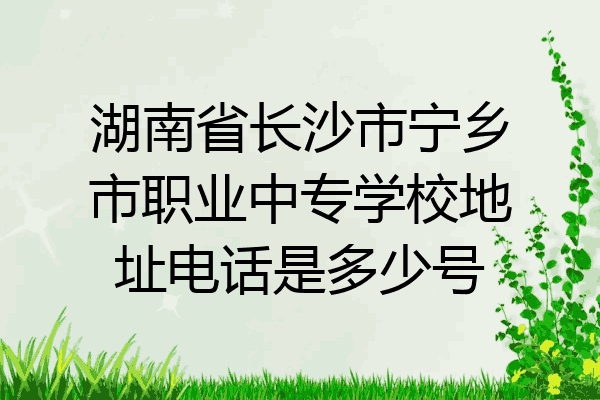 湖南省长沙市宁乡市职业中专学校地址电话是多少号