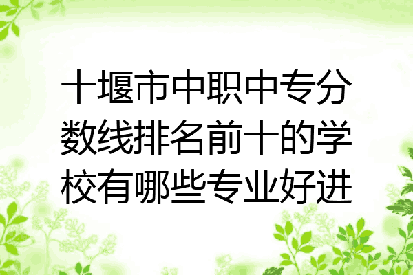 十堰市中职中专分数线排名前十的学校有哪些专业好进