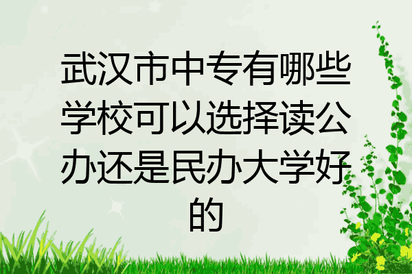武汉市中专有哪些学校可以选择读公办还是民办大学好的