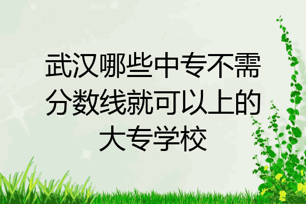 武汉哪些中专不需分数线就可以上的大专学校