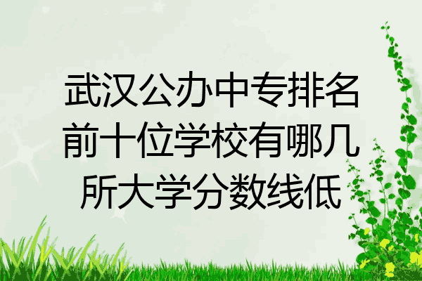 武汉公办中专排名前十位学校有哪几所大学分数线低