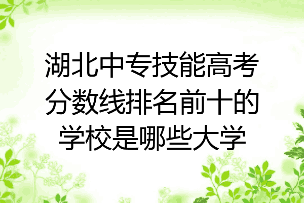 湖北中专技能高考分数线排名前十的学校是哪些大学