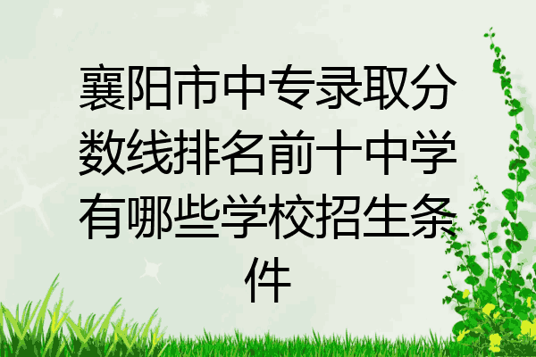 襄阳市中专录取分数线排名前十中学有哪些学校招生条件
