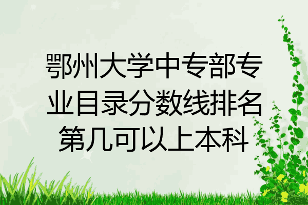 鄂州大学中专部专业目录分数线排名第几可以上本科