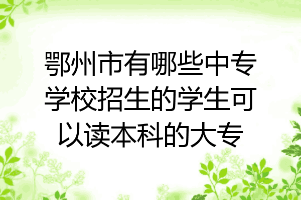 鄂州市有哪些中专学校招生的学生可以读本科的大专