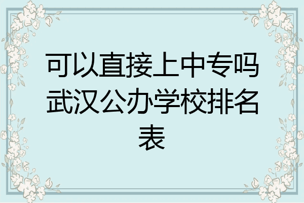 可以直接上中专吗武汉公办学校排名表