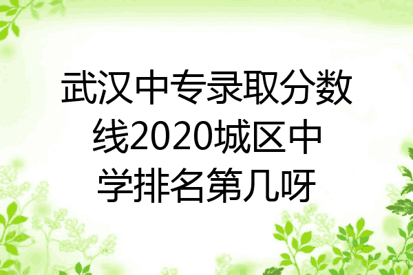 武汉中专录取分数线2020城区中学排名第几呀