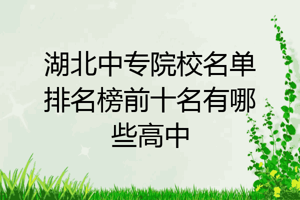 湖北中专院校名单排名榜前十名有哪些高中
